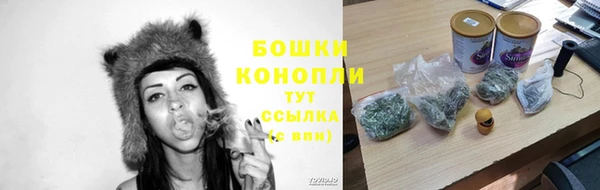 синтетический гашиш Ельня